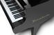 Рояль Boesendorfer 214