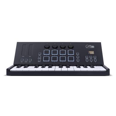 MIDI-контролер розкладний Carry-on Folding Controller (25 клавіш) Black