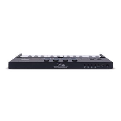 MIDI-контролер розкладний Carry-on Folding Controller (25 клавіш) Black