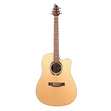 Акустическая гитара FLYCAT C100 NT