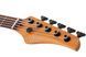 Бас-гітара SCHECTER C-5 STANDARD Tobacco Burl