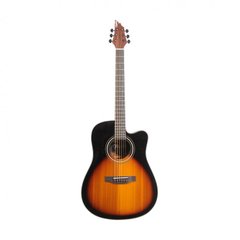 Акустическая гитара CANTO C200 CS