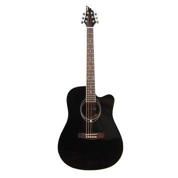 Акустична гітара FLYCAT C100 BK