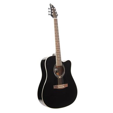 Акустическая гитара FLYCAT C100 BK