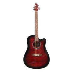 Акустическая гитара CANTO C100 TRD