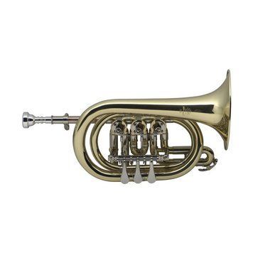 Корнет Stagg 77-TCR