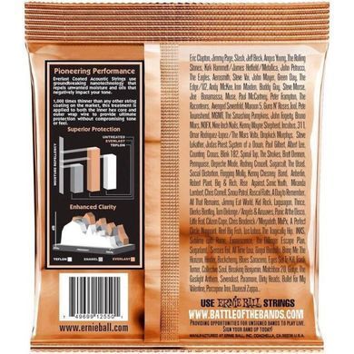 Струны для акустической гитары 10-50 Ernie Ball Inc. P02550