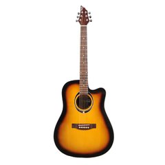 Акустическая гитара FLYCAT C100 TSB