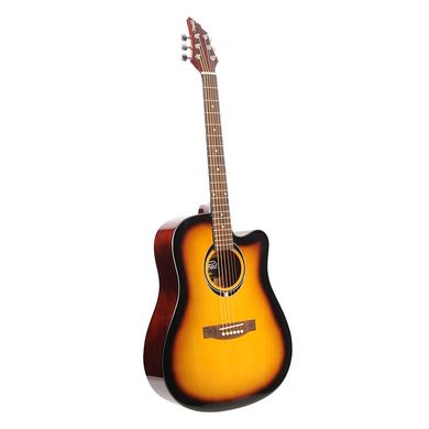 Акустическая гитара FLYCAT C100 TSB