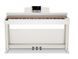 Цифровое пианино DONNER DDP-100 WH