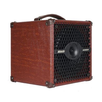 Комбо усилитель DV Mark AC 801 P