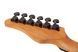 Электрогитара SCHECTER PT STANDARD Black Fade Burst Burl
