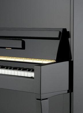 Пианино Petrof P 122 N2-0801